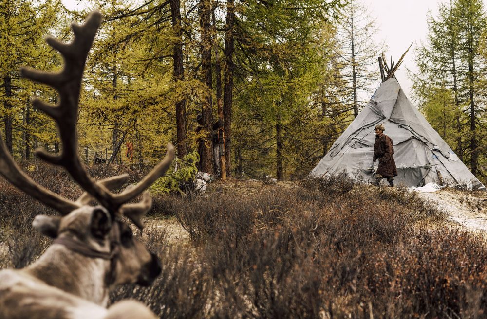 Mongolie_Dukha_RaindeerTentNomad_MarijeVanDeVlekkert