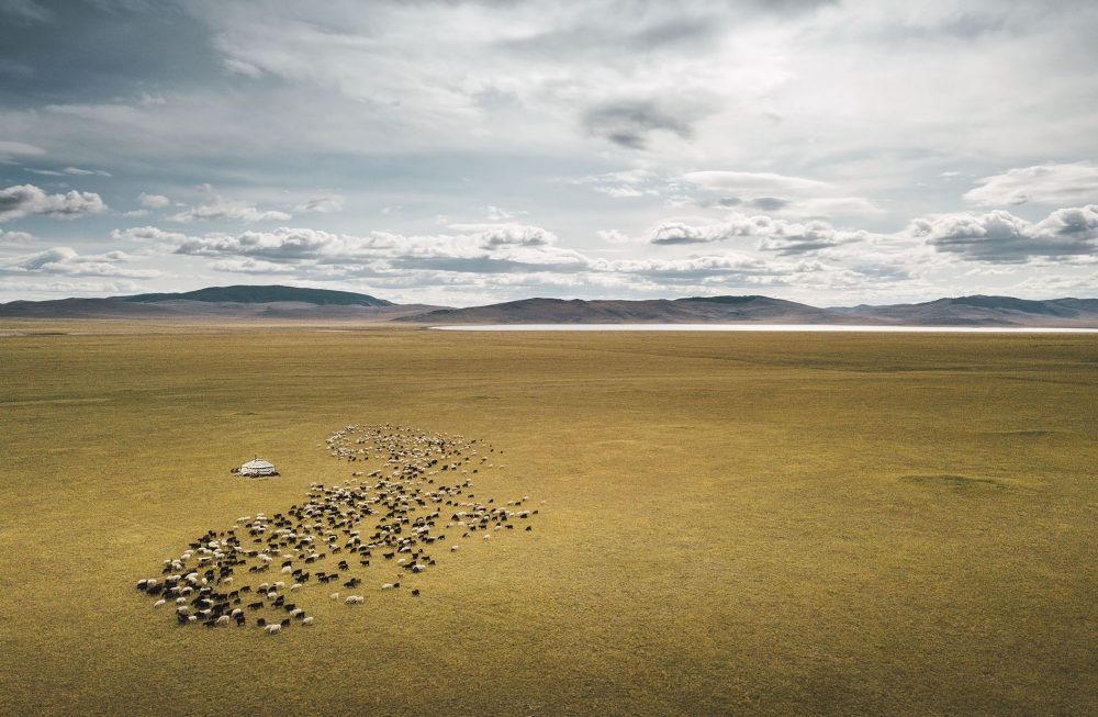 Mongolie_GerAnimalsDrone_MarijeVanDeVlekkert