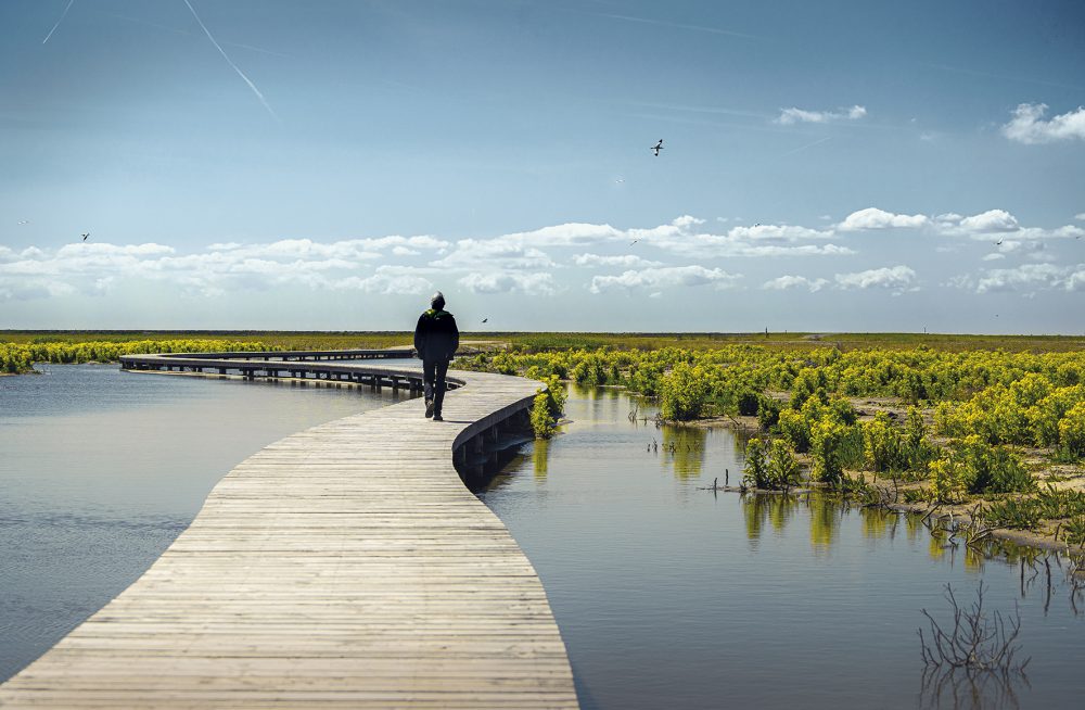 marker wadden, vlonderpad, water, gids