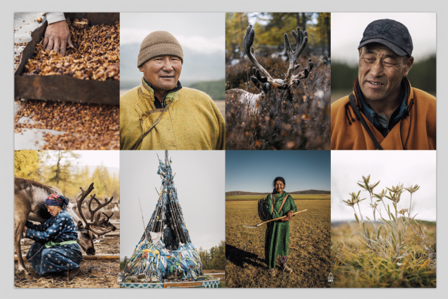 Mongolie in Columbus -4