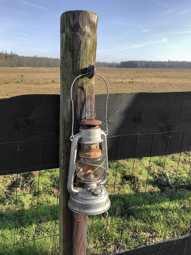 VeluweWintersafari_KampLantaarn