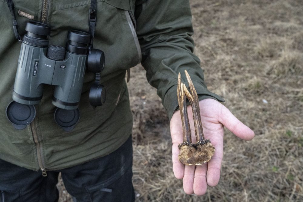 VeluweWintersafari_ReeGewei2