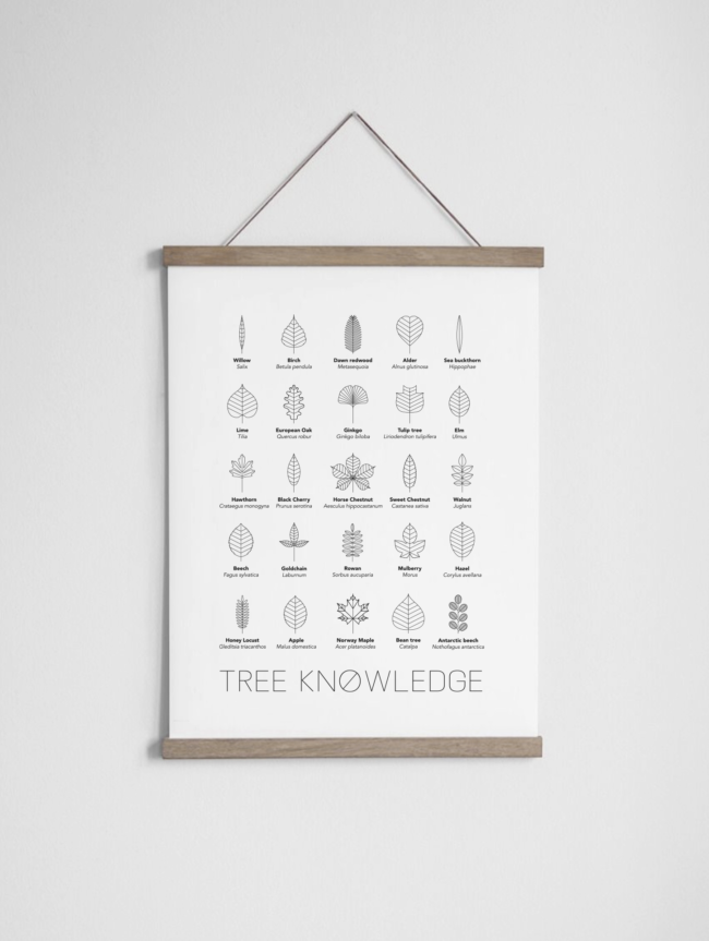 Poster met boomblad illustraties